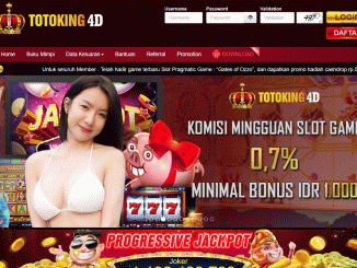 TOTOKING4D
